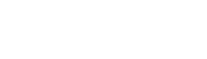 Logo LeoComms